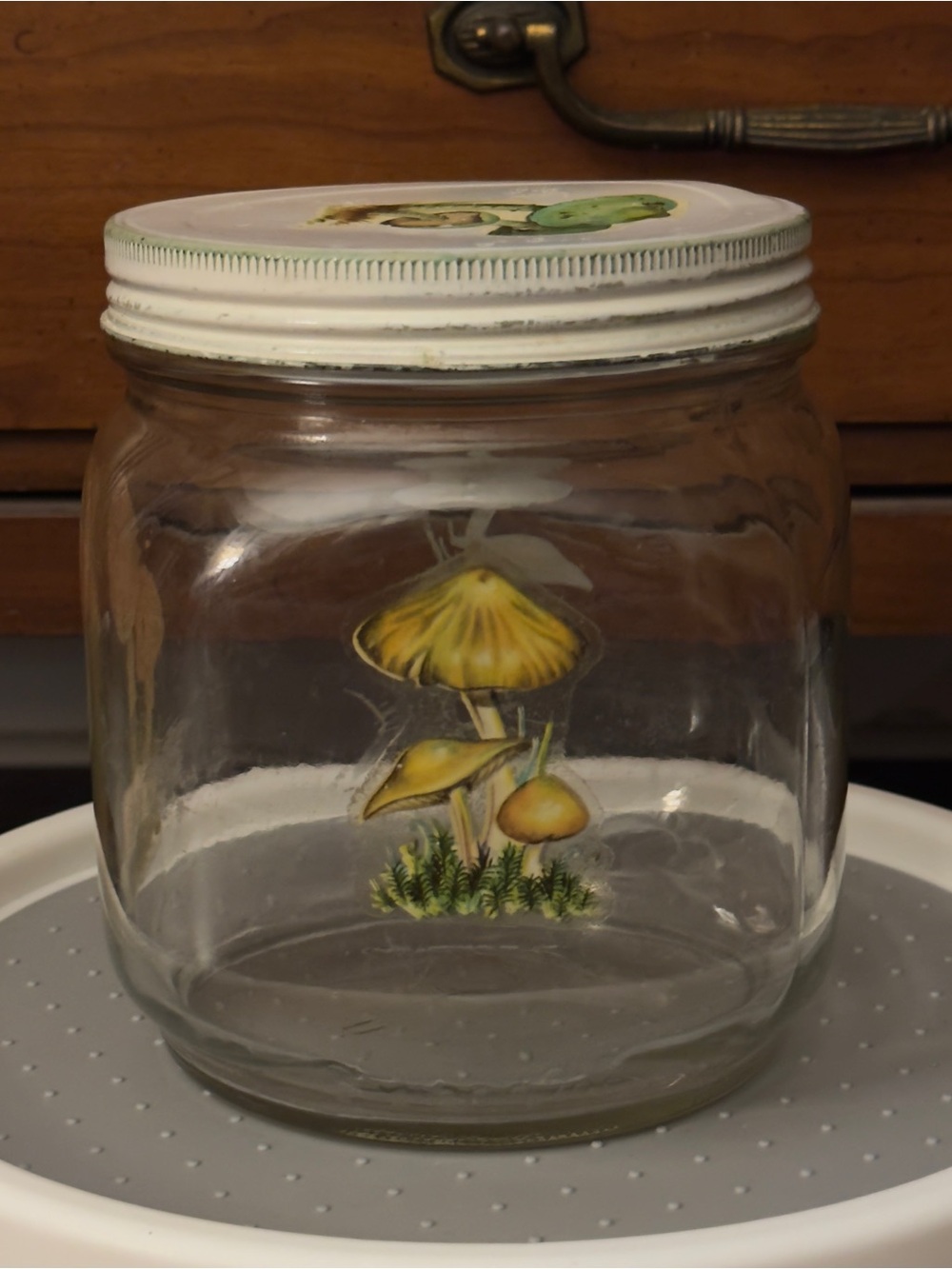 Vintage Mushroom Motif Glass Kitchen Canister